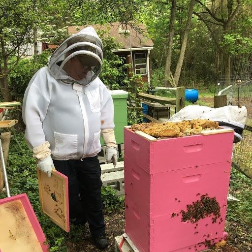 ME AND MY BEES