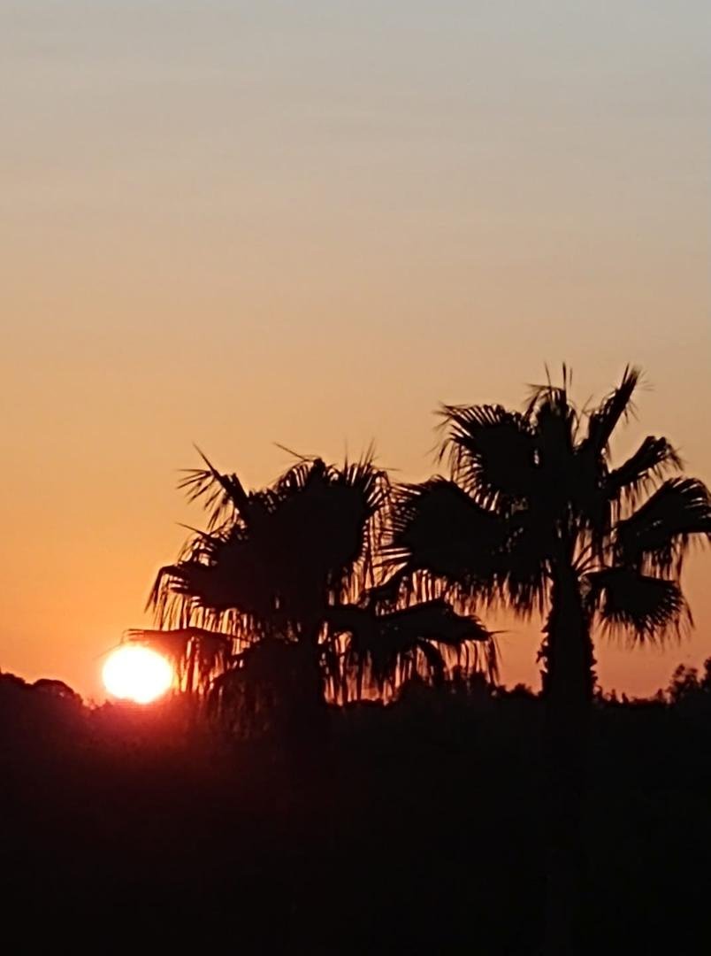 Just another ordinary sunrise in New Port Richey🌴🇺🇸🌴
