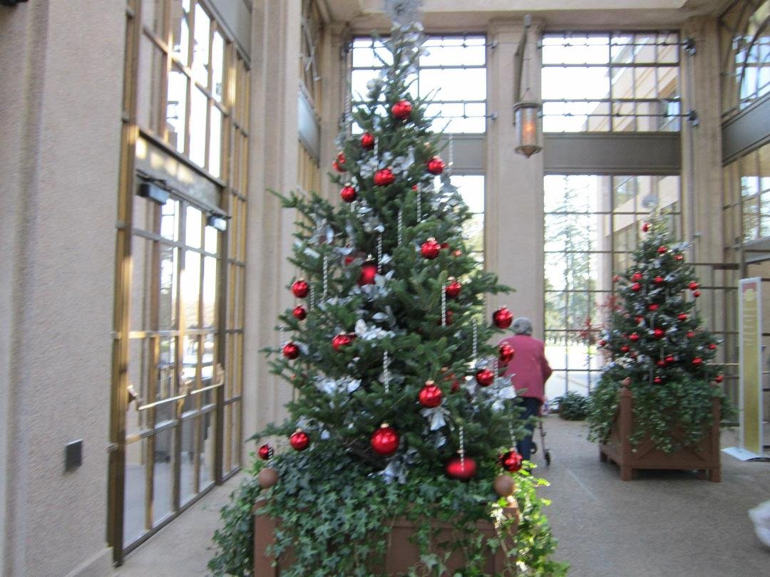 Kathleen Cunningham's album, December 17, 2011