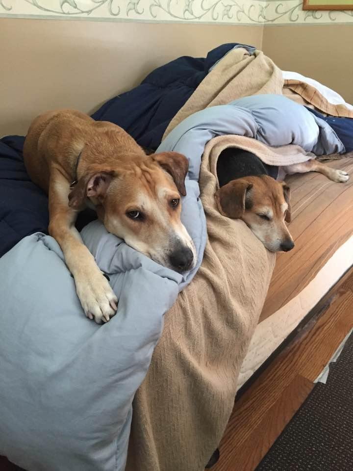 It must be Friday, I am babysitting the boys