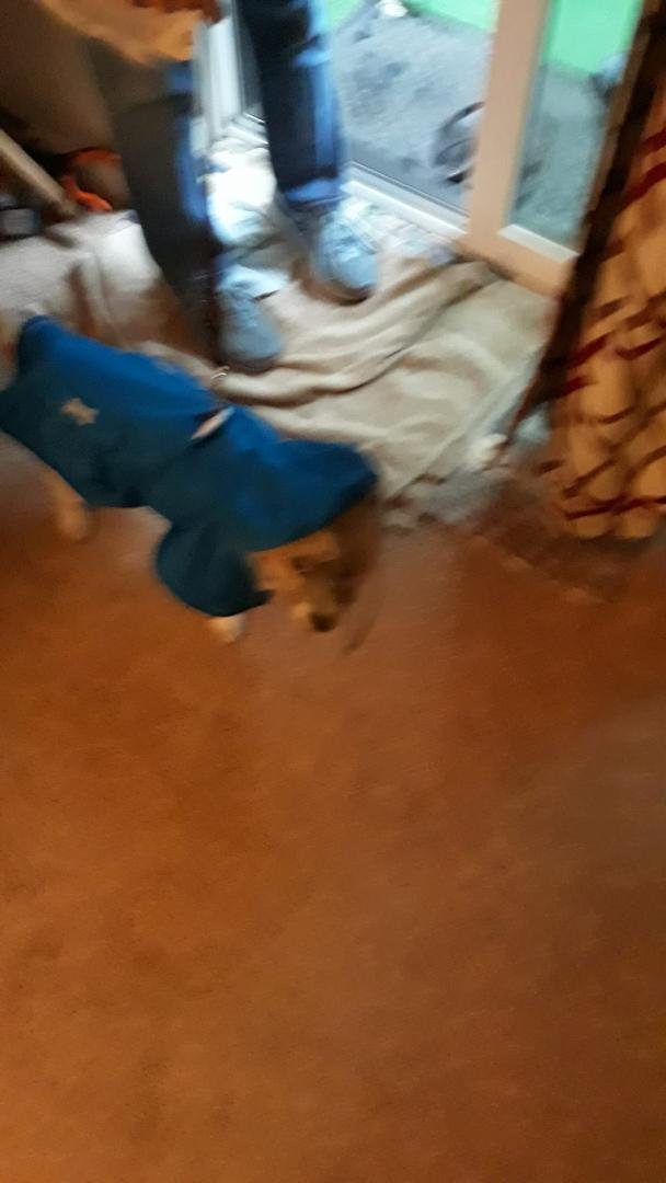 Jacks new rain coat
