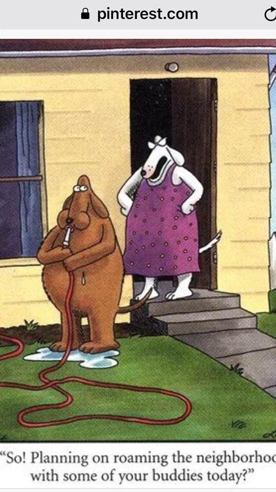 Busted!