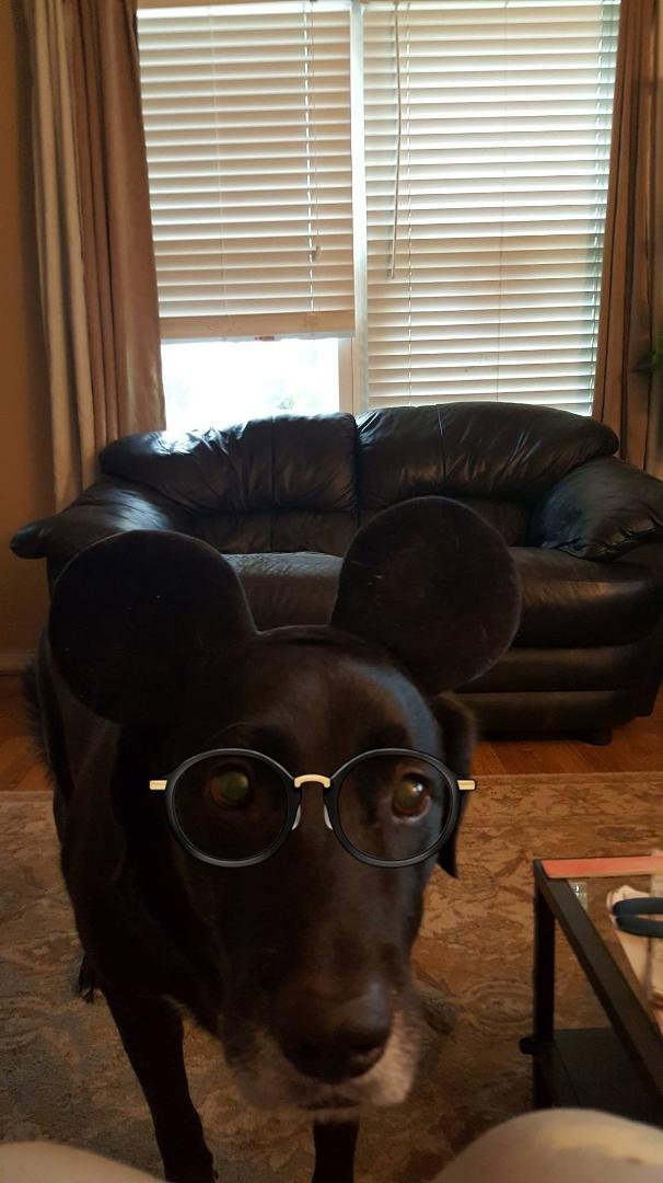 Halloween Harvey 2017