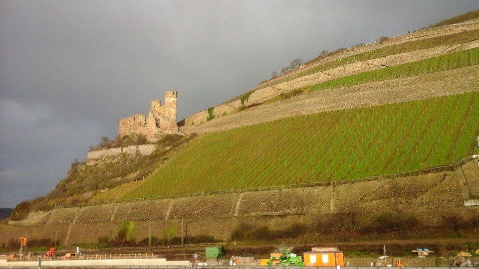 We just passed through the Rhine Gorge on our way to Koblenz. The castles and vineyards were absolutely amazing!!!
