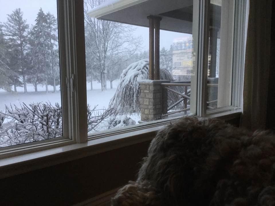 Woke-up to this surprise in Toronto this A M! Where is Spring? Getting much warmer in the coming week.