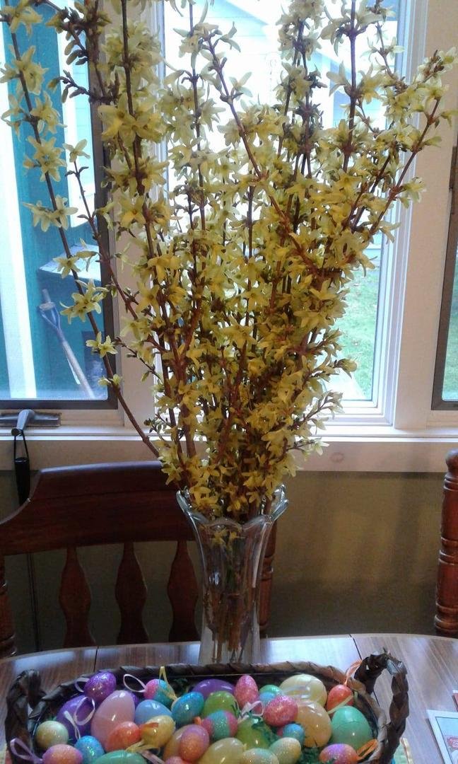Happy Spring!
