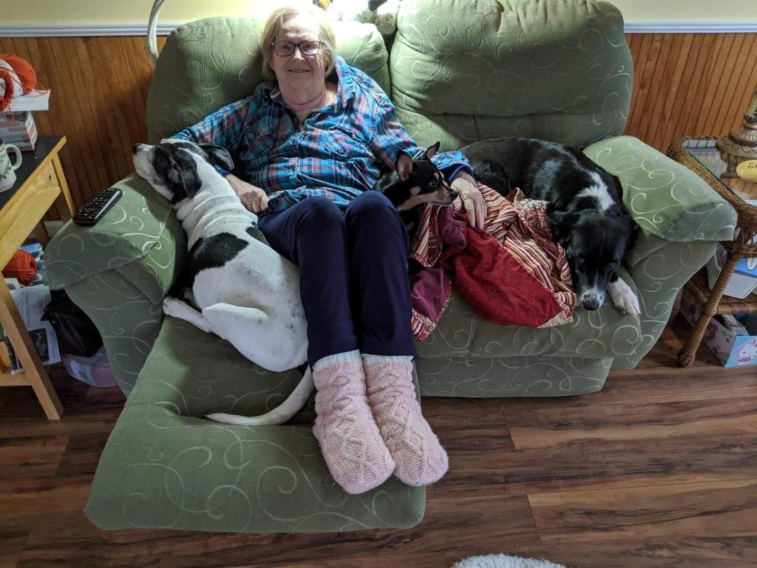 That's from left to right.
Cookie, Mary(mom), Bobo, Sadie
At least 3 of the 4 look comfy.