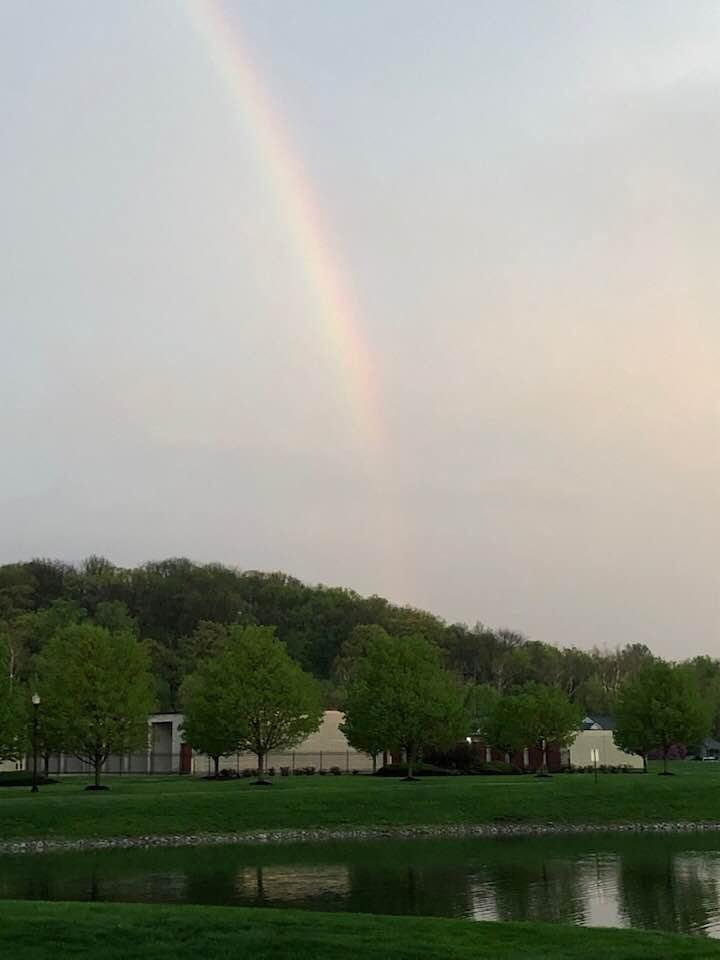 Beautiful rainbow after a brief shower from my back yard.
