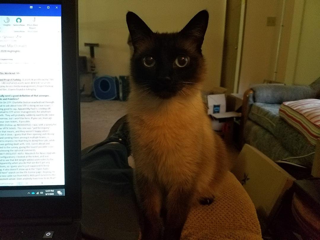 Telework supervisor.