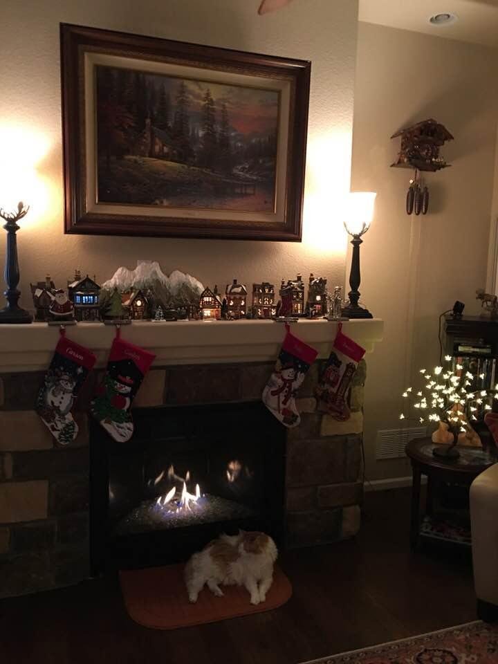And the stockings were hung......Merry Christmas to all our family and friends!