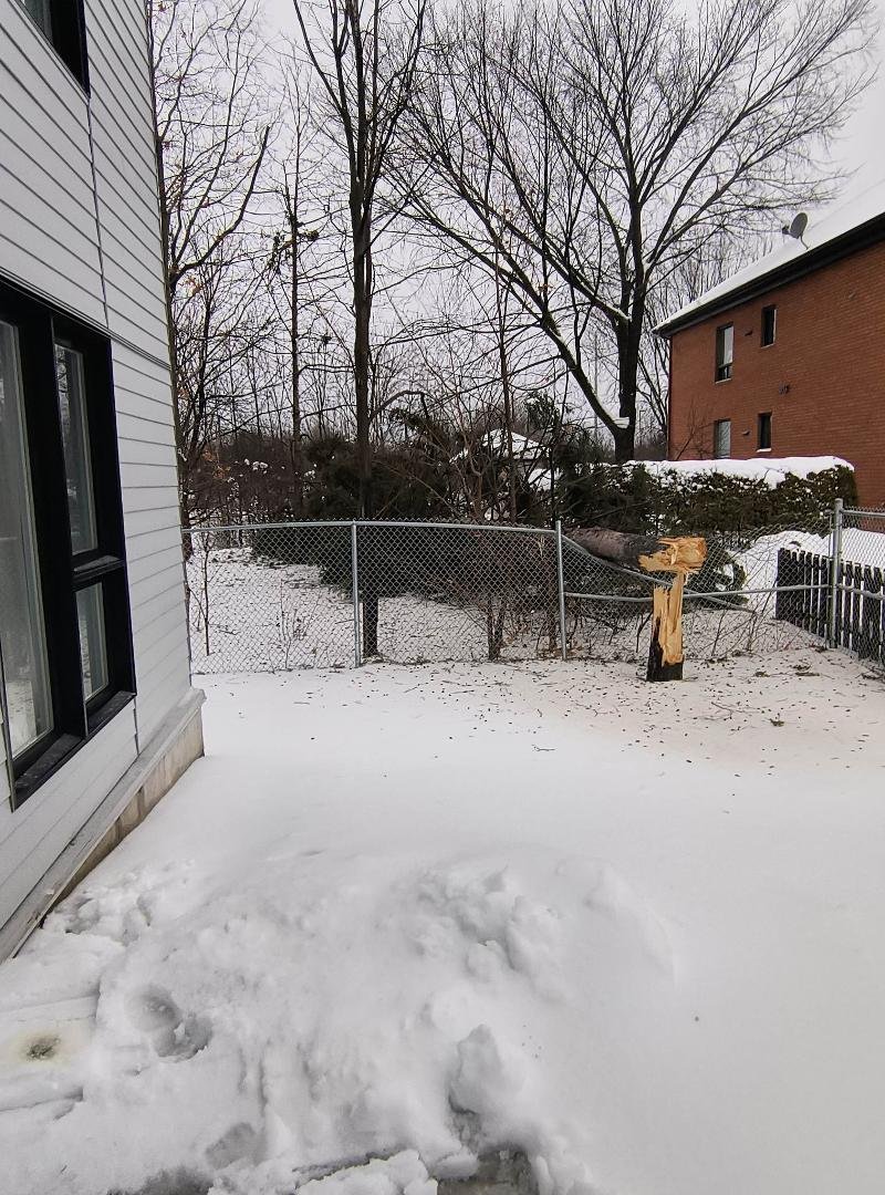 Winter wind storm got pretty bad here