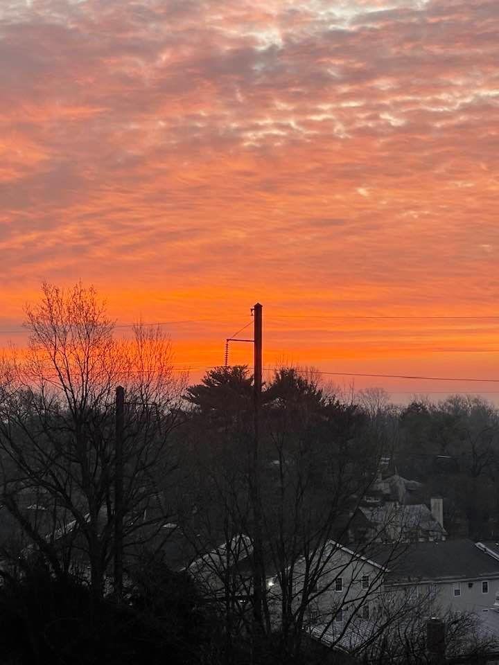 Shellie Hoyt Zollo's album, Timeline Photos