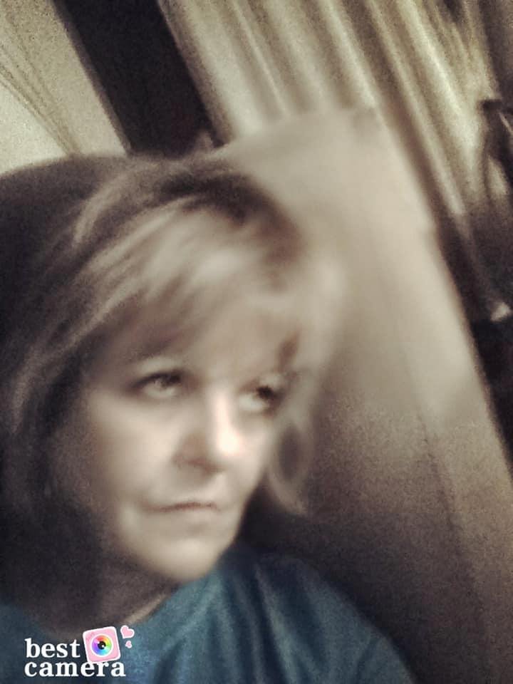 Lisa Wenthold's album, Mobile Uploads