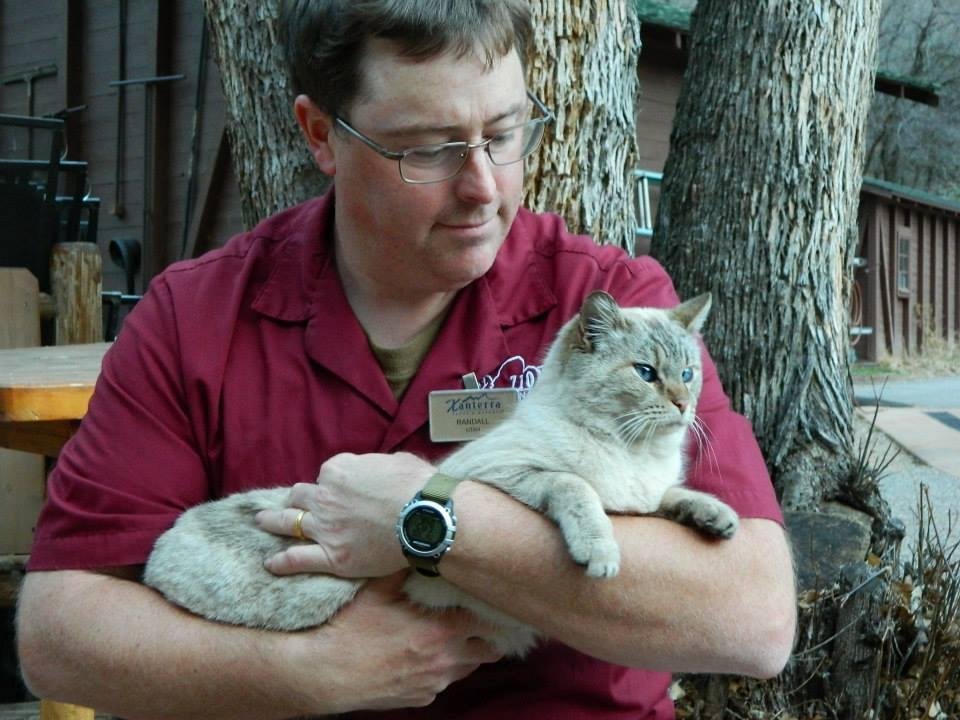 Cat was dumped here in Zion and needs a new home!