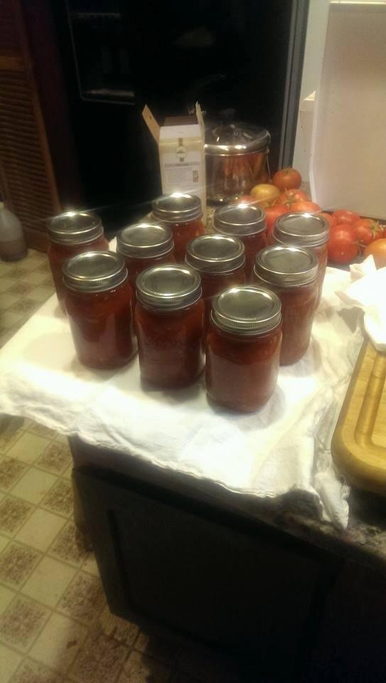 10 pints of salsa made from tomatoes and peppers grown in my garden