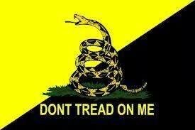This says it all..what do they say about history repeating itself? ? In this case, I hope Americans remember THEIR history! ! I love my country!!