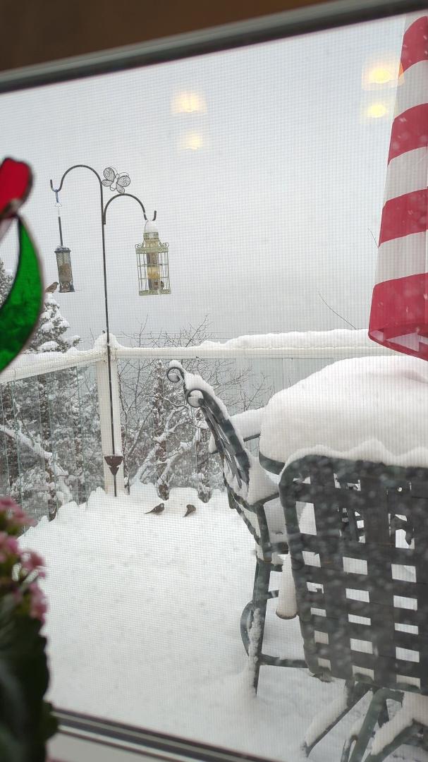 The snow is beautiful! Look how much we have!!