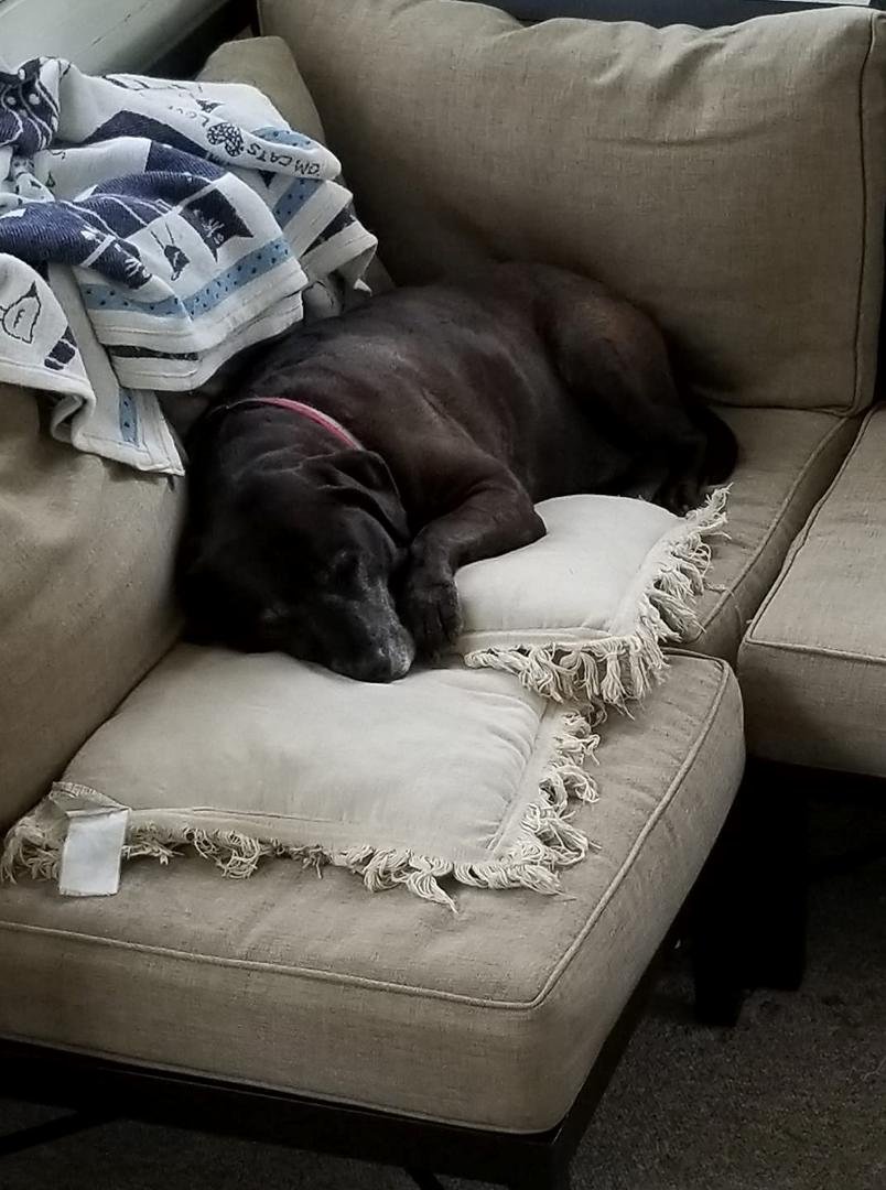 Boy #2 after a hard day playin' in the lake.