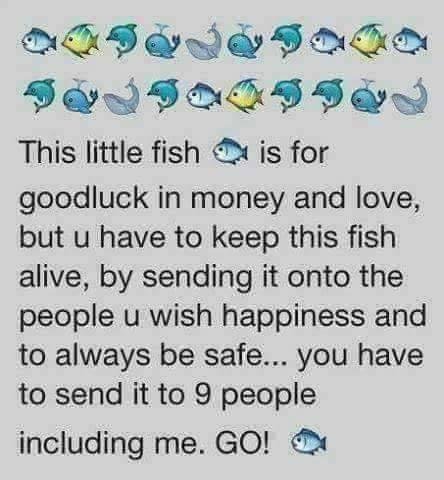 Jill Oosterhof's album, Timeline photos