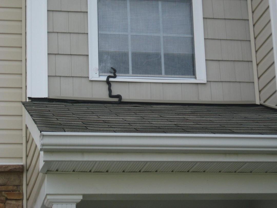 Black snake on top of porch roof.
