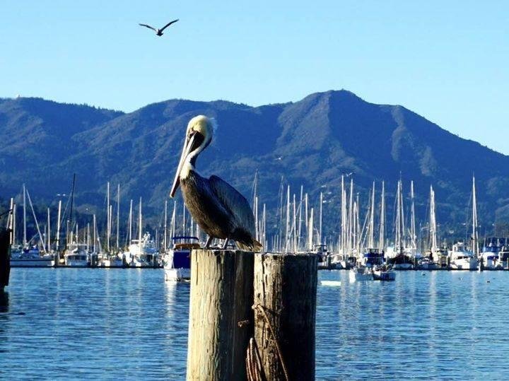 Sausalito, CA in Marin County, CA North of San Francisco