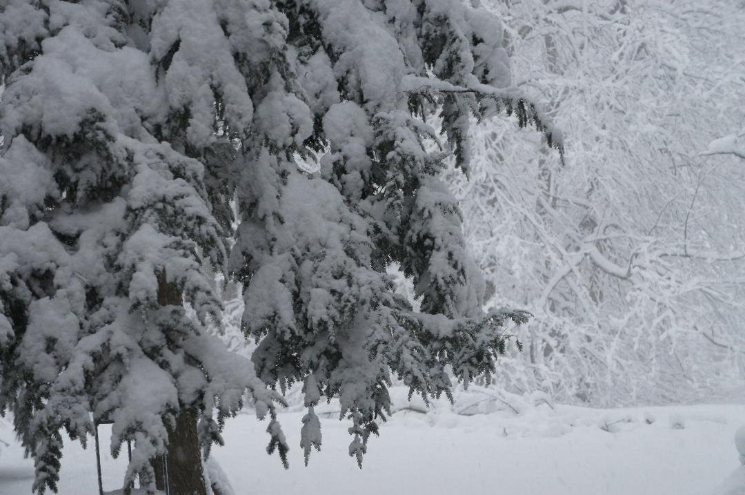 April in Conneticut
