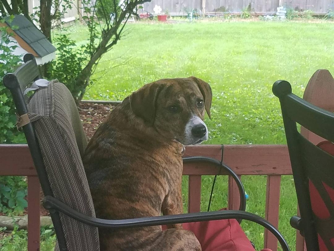 The yard keeper