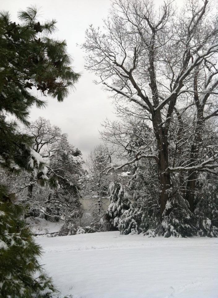 Only 6 inches but lots of folks with no power. UNC closed. Glad to have a snow day!!