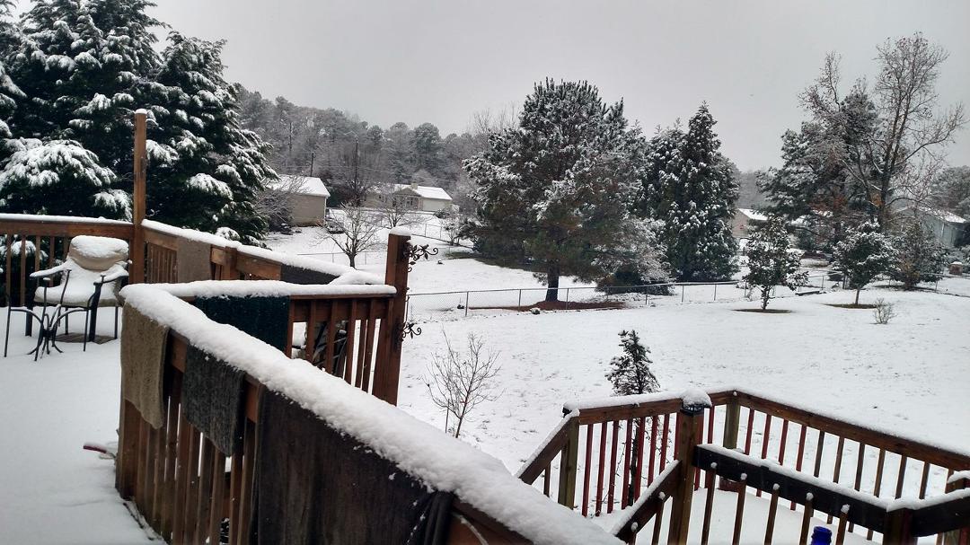 A little snow in my back yard this morning