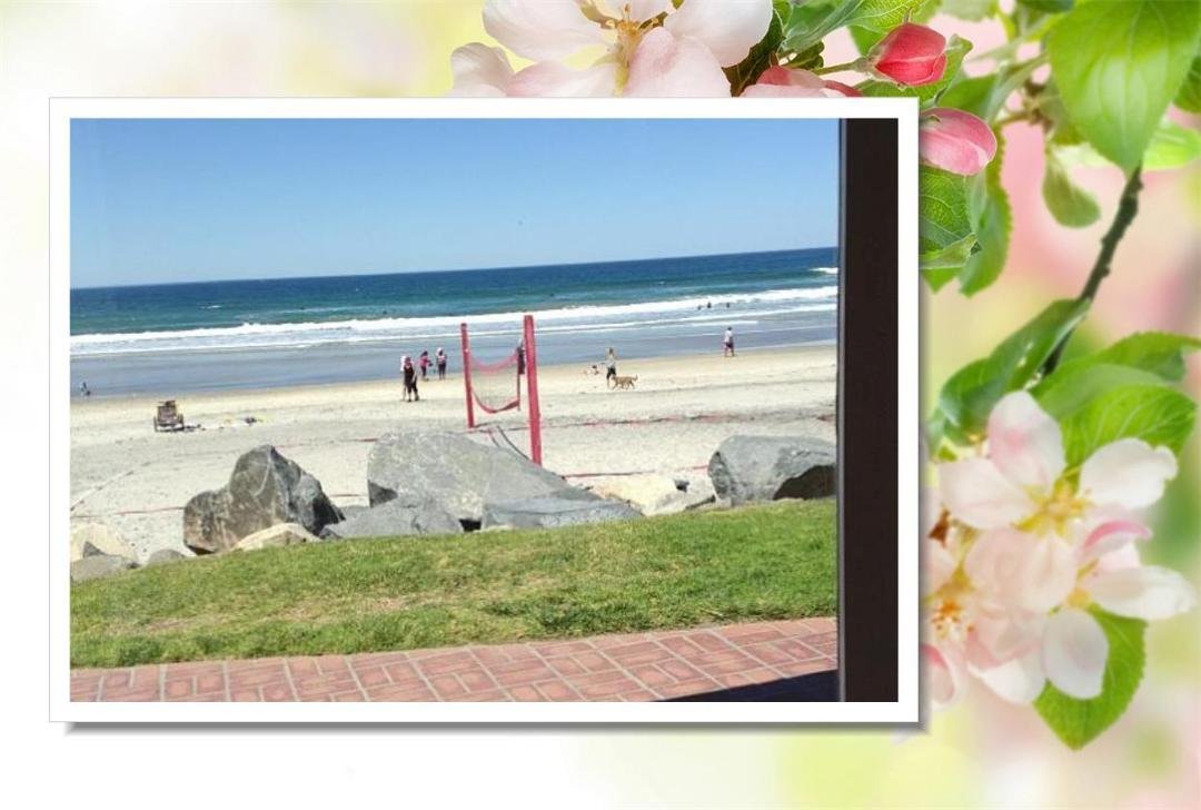 Herbert Rideout's album, Timeline Photos