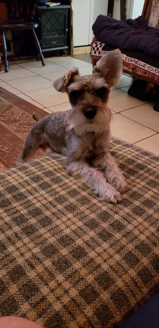 Robert Provost's album, Timeline Photos