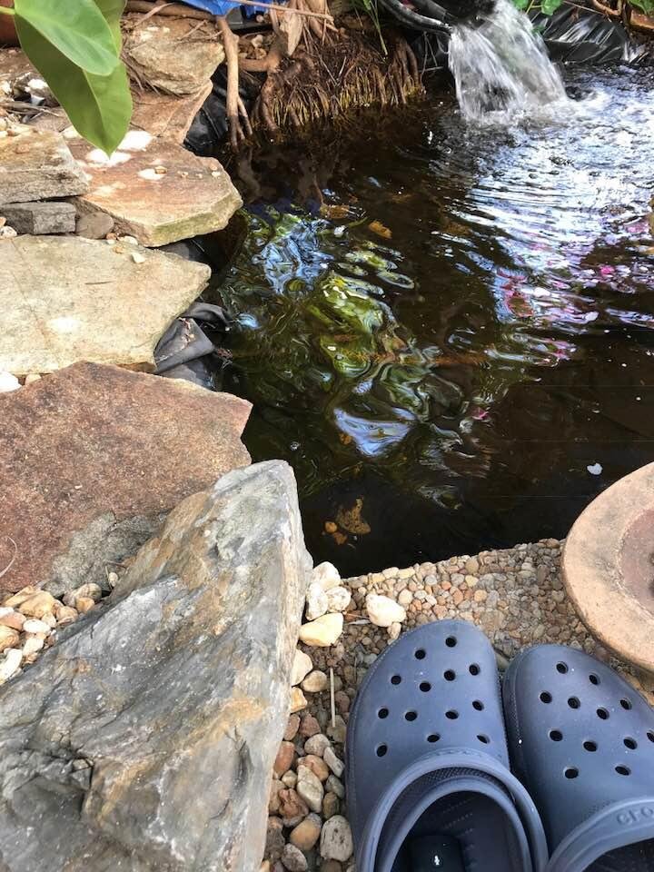 This is where I rest for three hours every afternoon in my hammock.