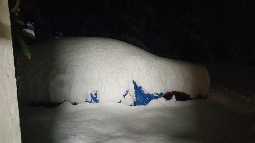 Dana's car!! 16 inches + of snow in the yard. Going to work tomorrow. I think not.