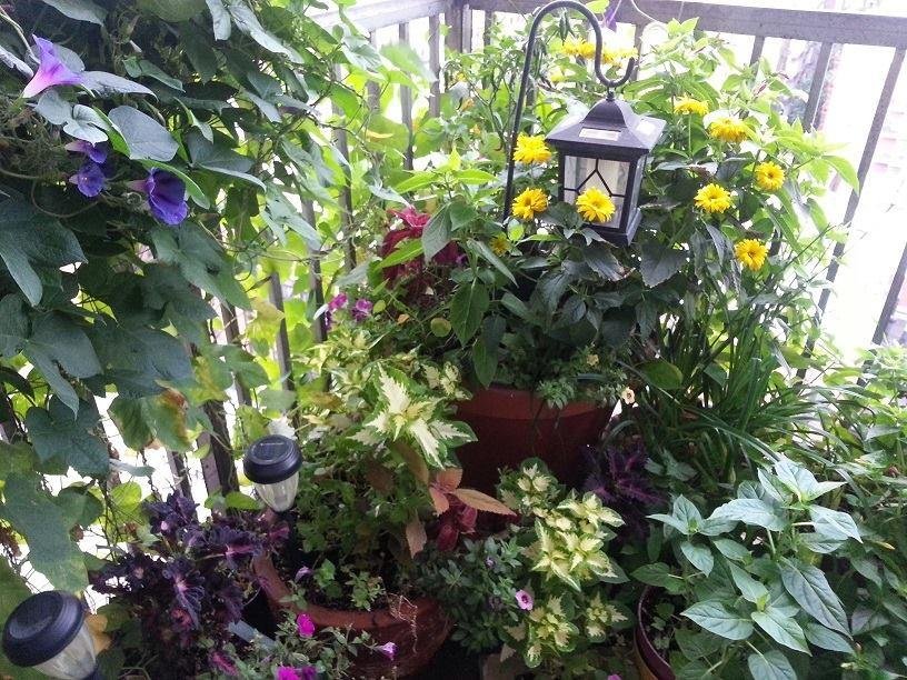 Bill Conrad's album, Timeline Photos