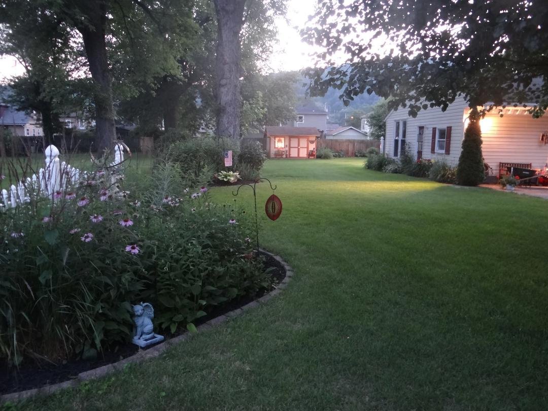 My back yard at Dusk 07/02/2013