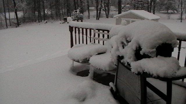 Backyard 27 Feb 2010