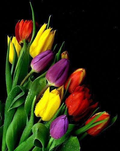 Good Morning all this Festive Friday! Enjoy Family Fun Food and Fellowship. 
I Love You ♥️!