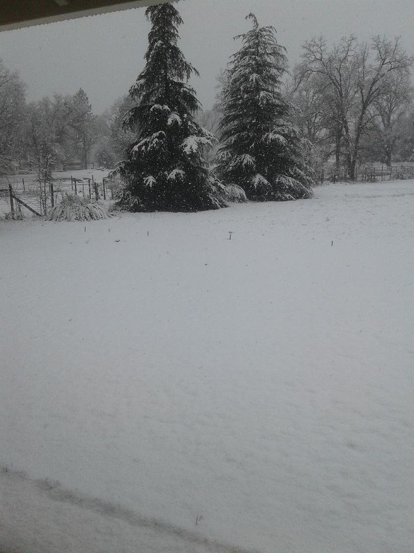 My front yard!!!
