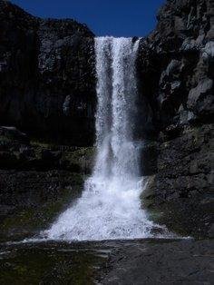 Day 6 of 7! I obviously have a leaning towards the water/waterfall part of nature.....!! Summer Falls, near Ephrata, Washington. Did any of you know there are waterfalls around Ephrata???! This is a beautiful spot.