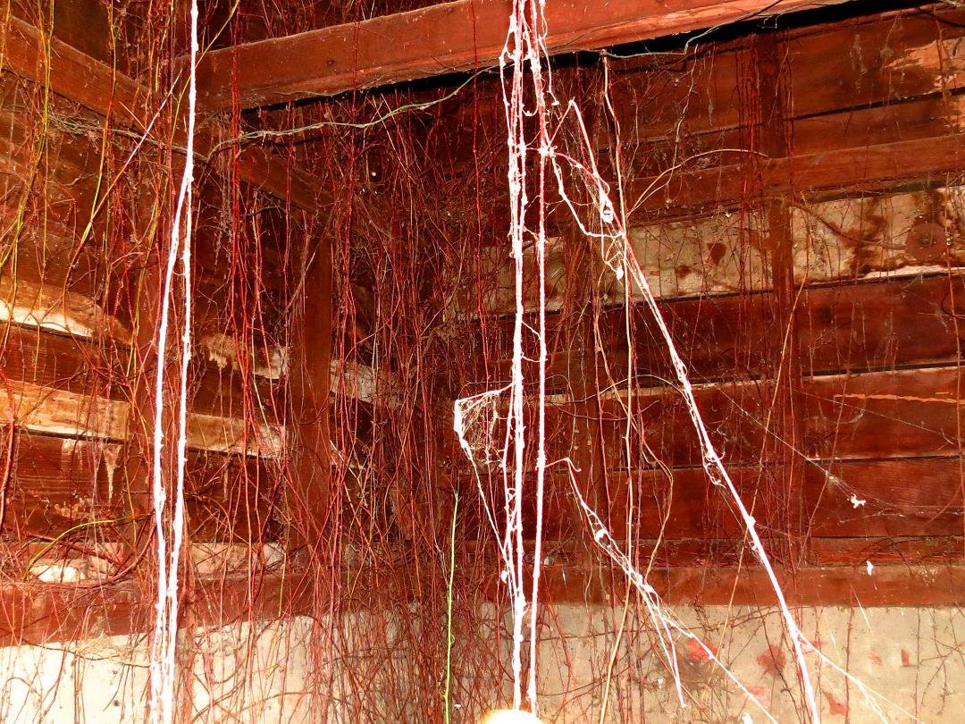 It was really dark inside the barn.