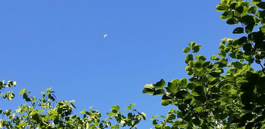 A pleasant Sunday morning with Luna.