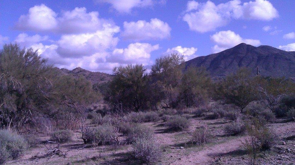 Another beautiful day in the neighborhood! Ran the saddleback this morning..where were u Grace Bailey?? ; )