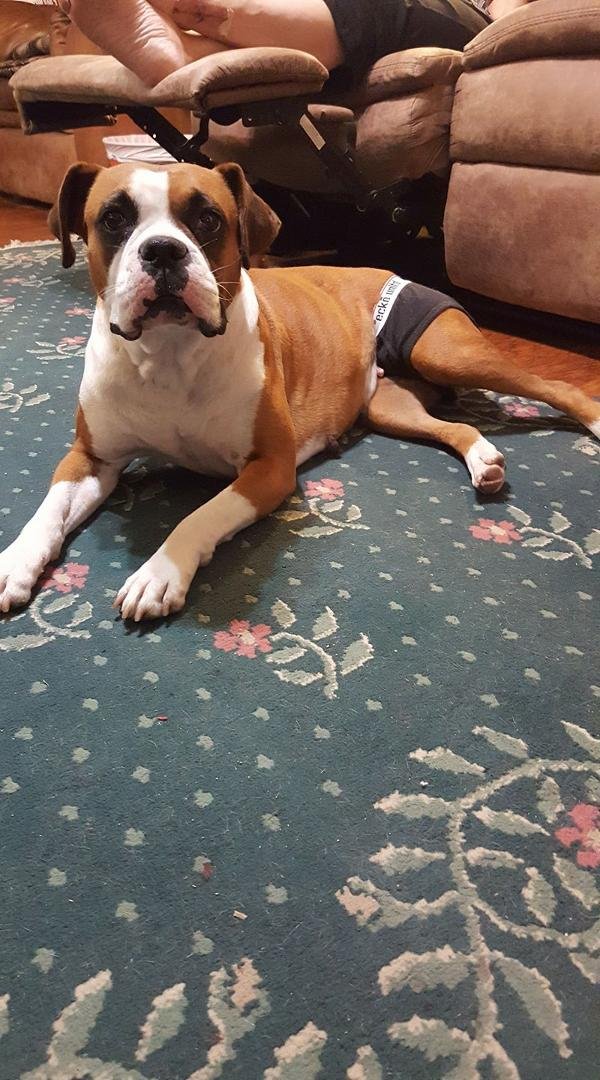 Allie, chillaxin.