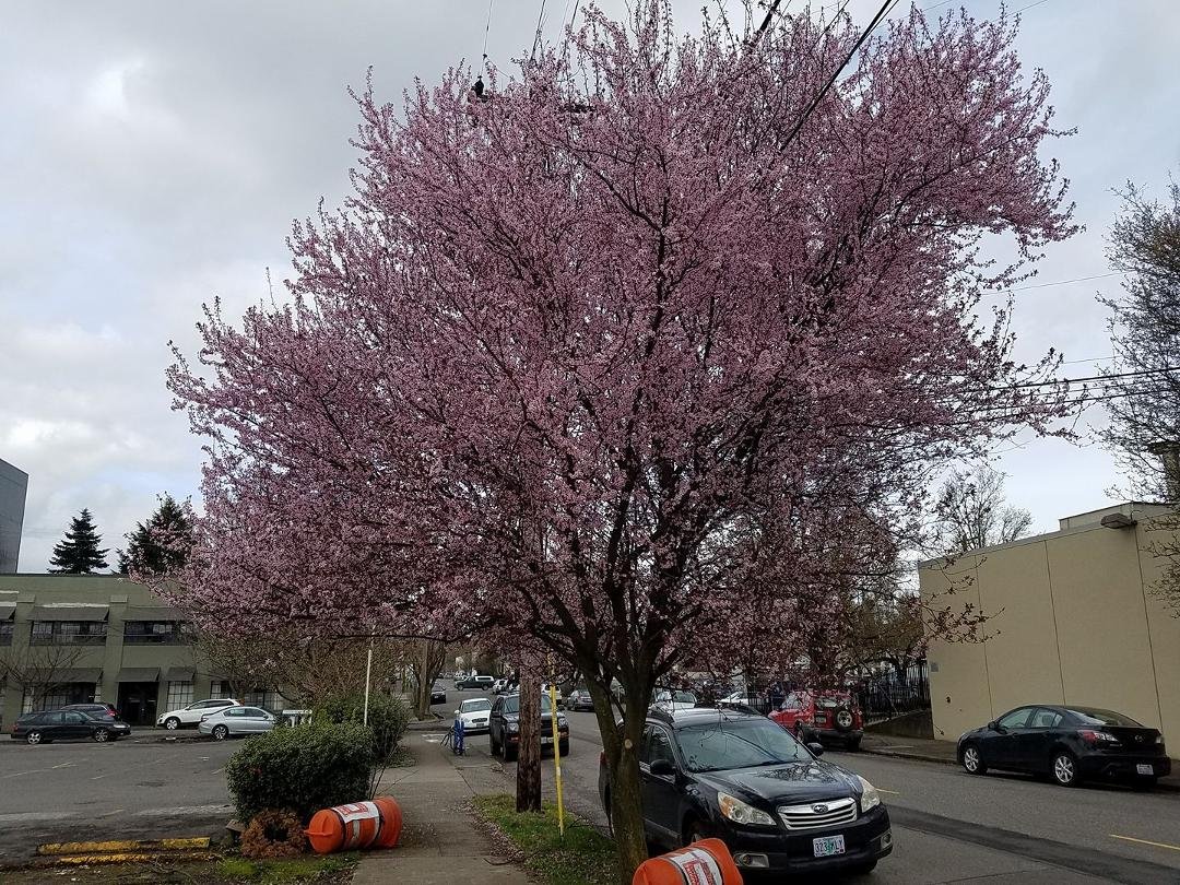It looks like spring is coming.