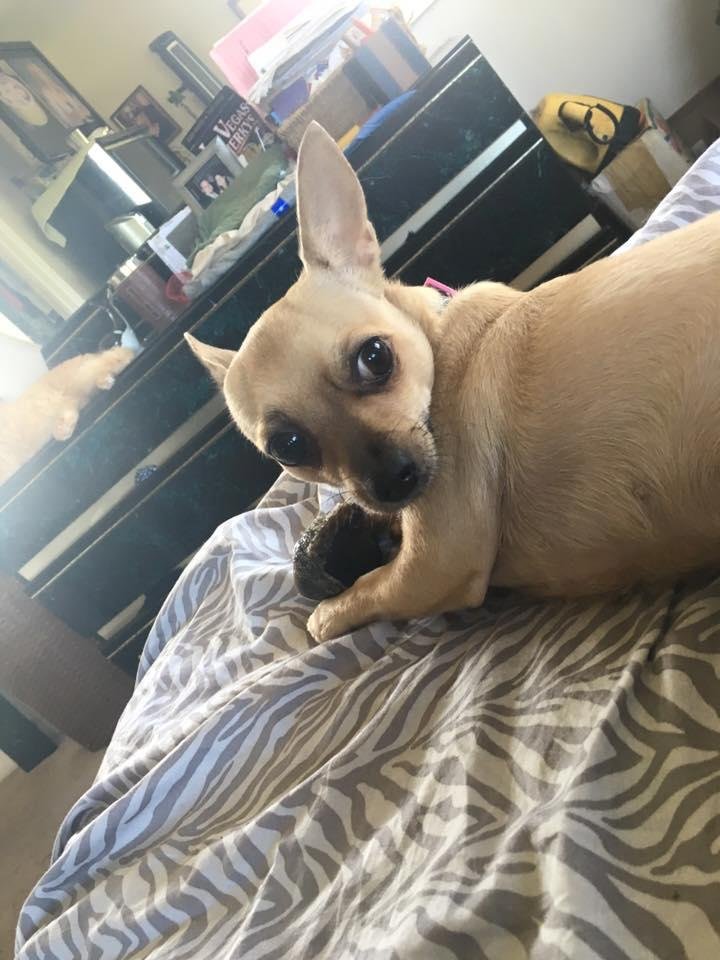 I love my Lucita Bonita!