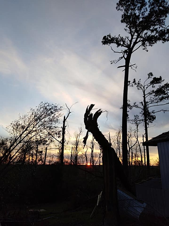 Sharon Plumlee's album, Mobile uploads
