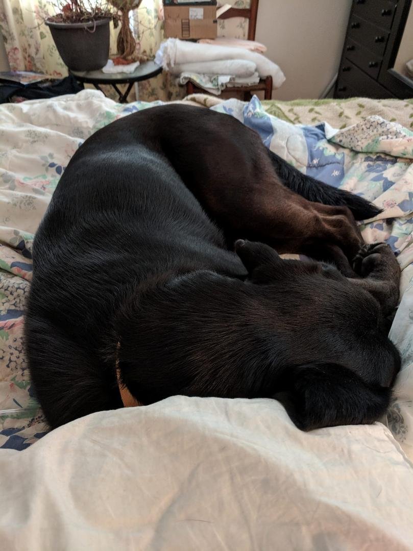 An hour before we went out to see her first snow.