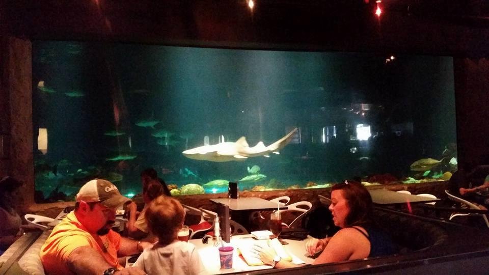 Dining with the sharks Sandy & Amanda... Kimberly stay @ the resort.