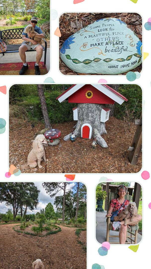 After chasing bunny from the gate we went on a small adventure. A lovely walk at Hearthstone Gardens. Krystal loved all the smells, sights and choices of paths. Stopped to pick up BBQ on the way home. #perfectmothersday