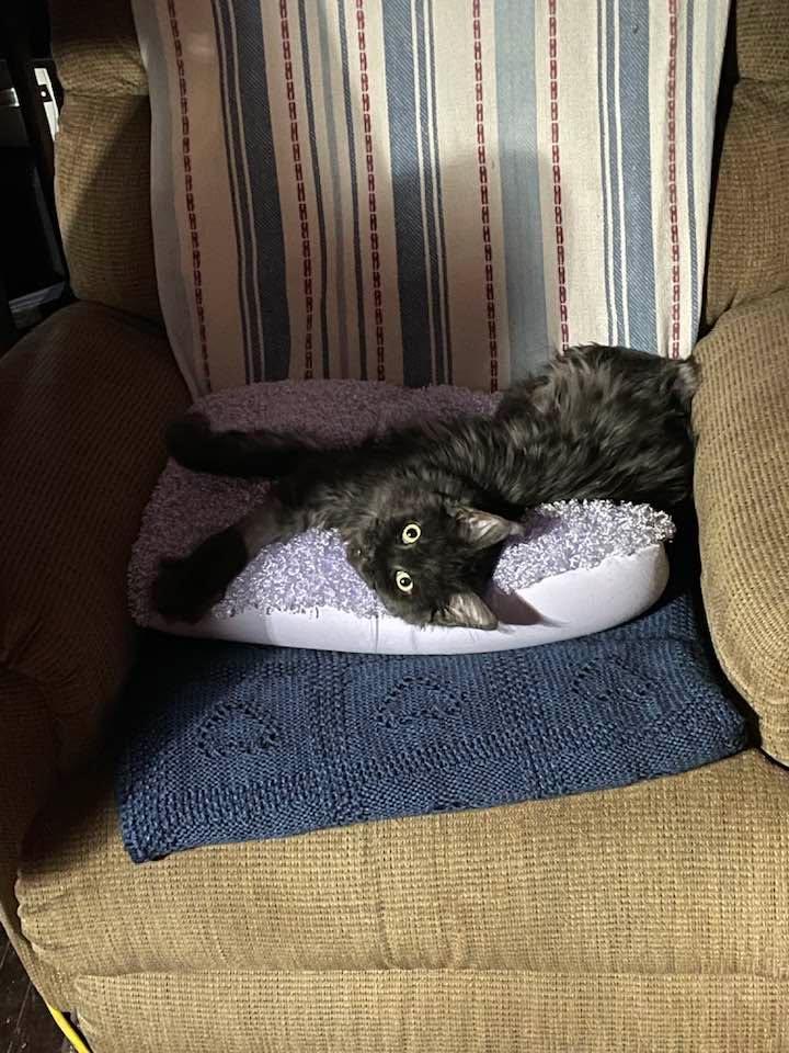 Isa loves her beany pillow